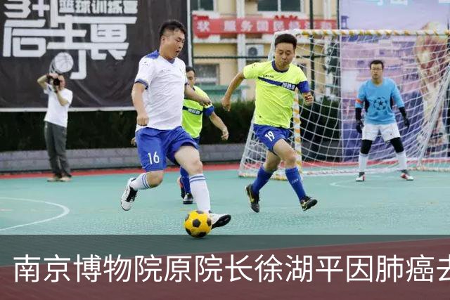 南京博物院原院长徐湖平因肺癌去世